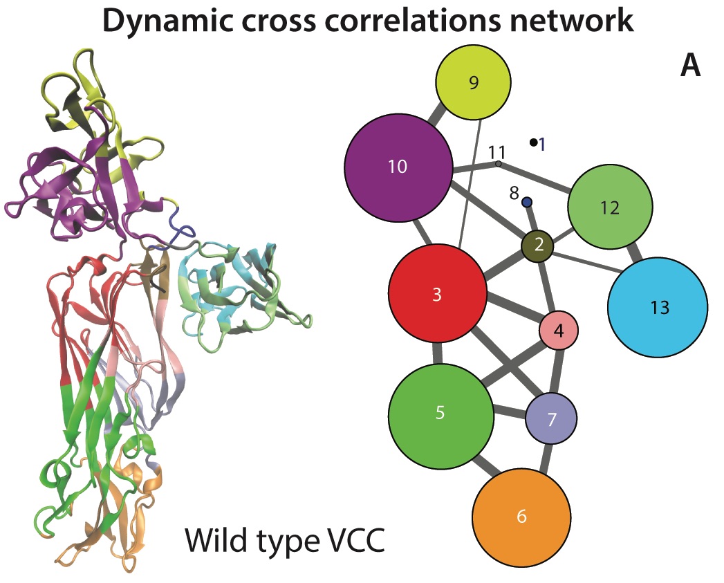 VCC_WT