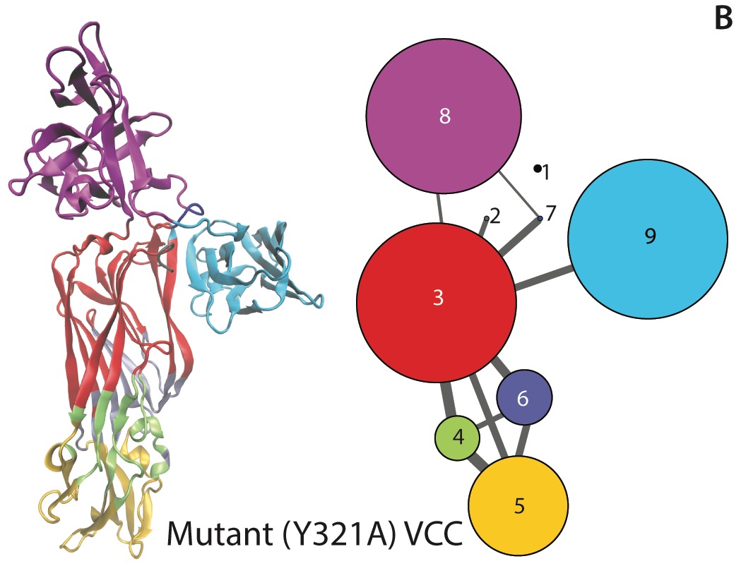 VCC_mutant