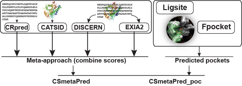 Catalytic residue prediction workflow