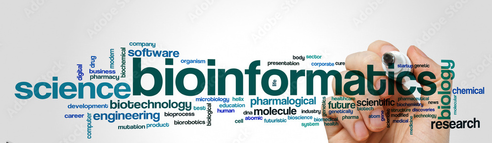 Molecular simulation of a pore-forming protein