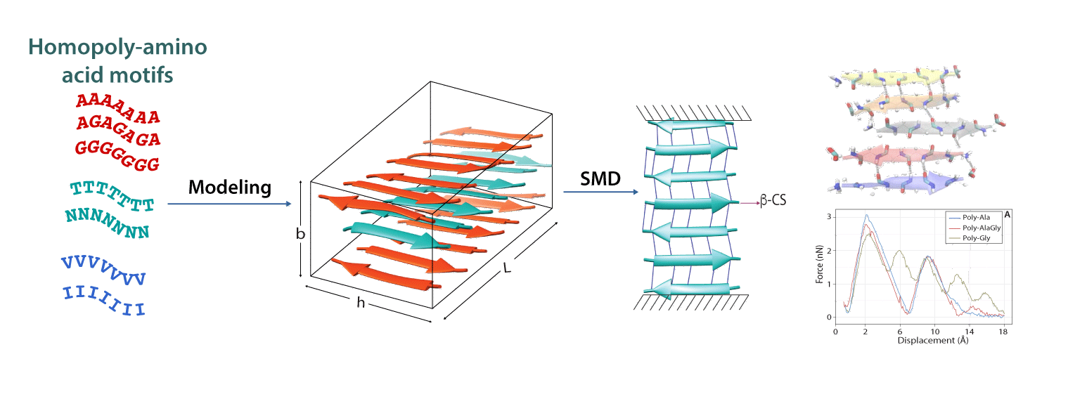 Spider silk and molecular-scale beta-sheet models
